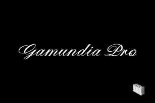 Gamundia Pro Font Font Download
