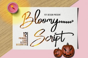 Bloomy Script Font Font Download