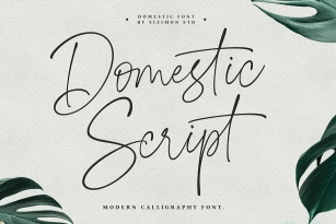 Domestic Script Font Font Download