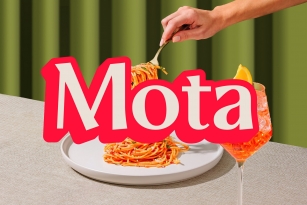 ZT Mota Font Font Download