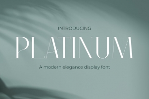 Platinum - Elegant Serif Modern Font Font Download