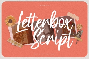 Letterbox Script - This is Fun Script Font Font Download