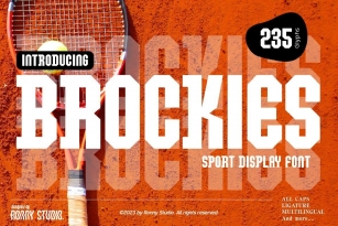 Brockies Font Font Download