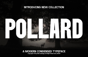 Pollard Font Font Download
