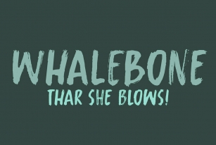 Whalebone Font Font Download