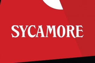 Sycamore Font Font Download