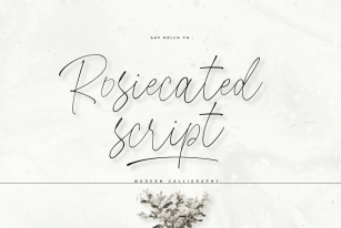 Rosiecated Script Font Font Download