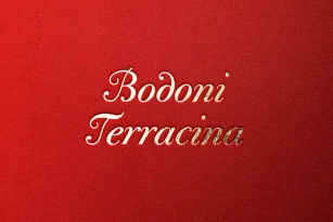 Bodoni Terracina Font Font Download