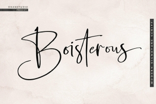 Boisterous Signature Script Font Font Download