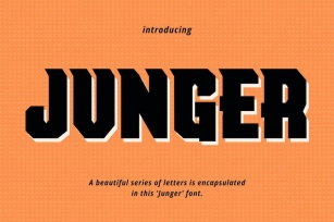 Junger Modern Sans Display Font Download