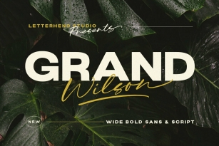 Grand Wilson Font Font Download