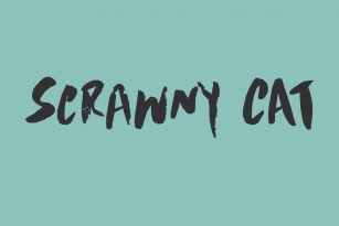 Scrawny Cat Font Font Download