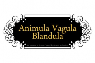 Ornate Blackboards Font Font Download