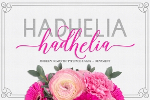 Hadhelia Script Font Font Download