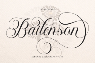 Bailenson Font Font Download