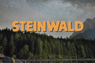 Steinwald Font Font Download