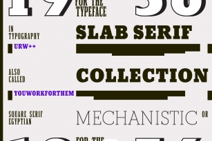 URW Slab Serif Collection Font Font Download