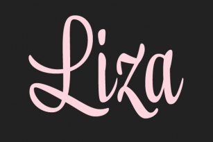 Liza Pro Complete Font Font Download