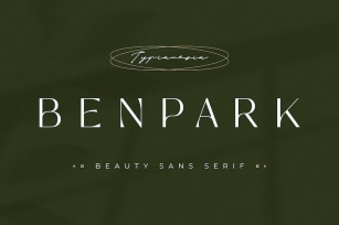 Benpark - Beauty Sans Serif Font Download