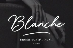 Blanche - Brush Script Font Font Download