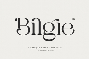 Bilgie Font Download