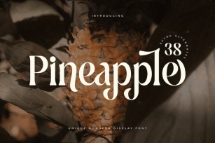 Pineapple - Unique Retro Vintage Display Font Font Download