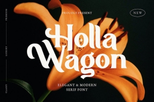 Holla Wagon - Elegant Stylish Serif Font Download