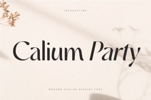 Calium Party - Royal Luxury Cinematic Font Font Download