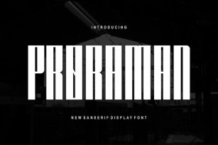 Proraman Font Font Download