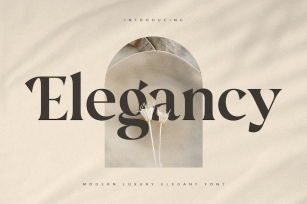 Elegancy - Modern Luxury Elegant Font Font Download