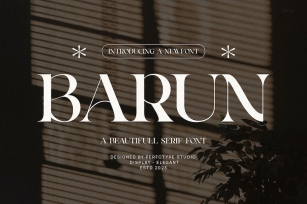 Barun Elegant Serif Font Typeface Font Download