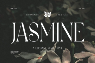 Jasmine Elegant Minimalist Serif Font Typeface Font Download
