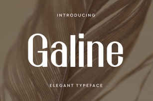 Galine | Minimalist Elegant Font Font Download