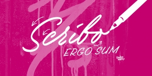 Scribo Pro Font Font Download