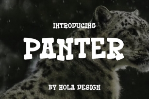 Panter Font Font Download