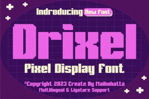 Drixel - Pixel Display Font Font Download