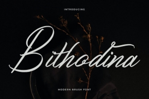 Bithodina Modern Brush Font Font Download