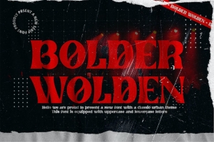 Bolder Wolden - Elegant Display Serif Font Download