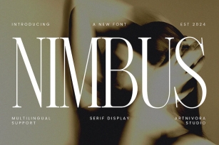 Nimbus - Serif Display Font Font Download