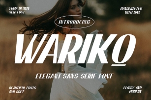 Warikq Elegant Font Font Download