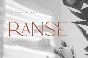 RANSE Modern Ligature Serif Font Font Download