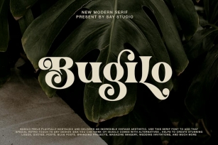 Bugilo -  Retro Serif Modern Font Download