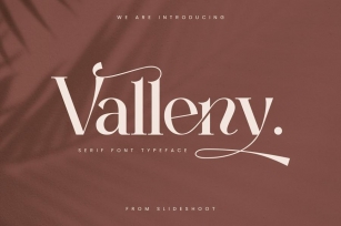 Valleny Serif  Font Font Download