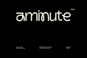 Aminute - Experimental Unique Sans Font Font Download