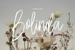 Bolinda Signature Font Download