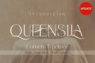 Queensila - Comely Styled Serif Font Font Download