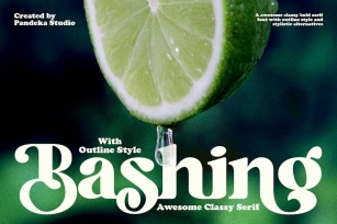 Bashing - Retro Modern Decorative Font Download