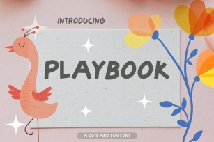 Playbook | Playful Sans Serif Font Font Download