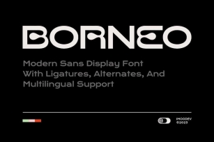 Borneo - Modern Sans Display Font Font Download