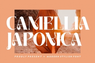 Camellia Japonica Font Download
